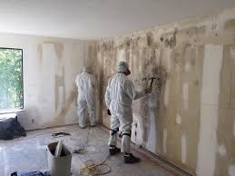 Best Post-Construction Mold Inspection  in Florida, NY